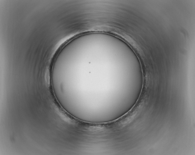 X0000112390838200909032012