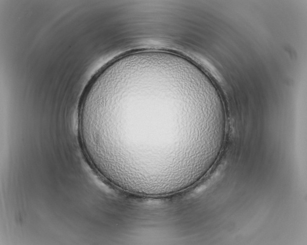 X0000112390839200909032012