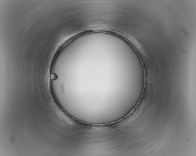 X0000112390840200909032012