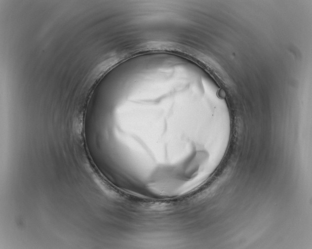 X0000112390841200909032012