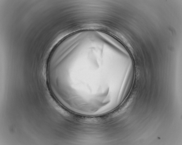 X0000112390843200909032012