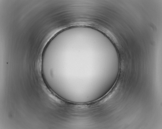 X0000112390844200909032012