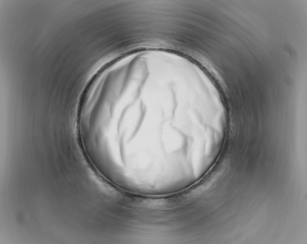 X0000112390845200909032012