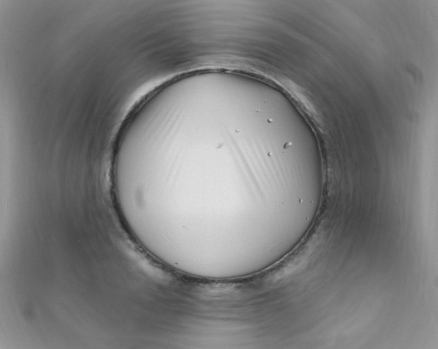 X0000112390846200909032012