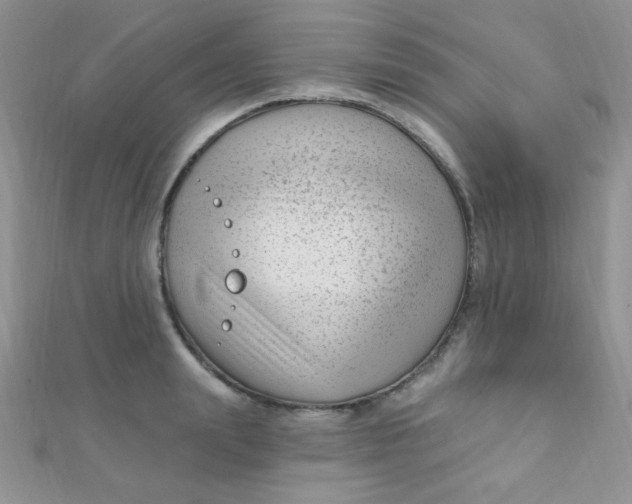 X0000112390847200909032012