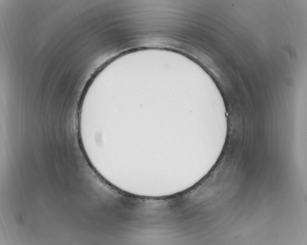 X0000112390848200909032012