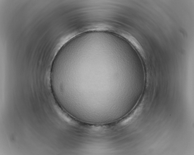 X0000112390850200909032012