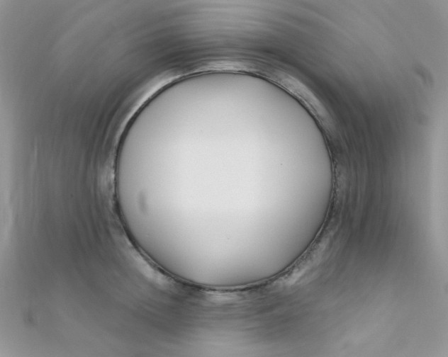 X0000112390852200909032012