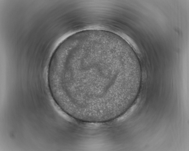 X0000112390854200909032012