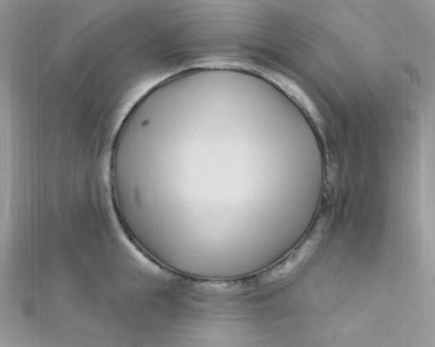 X0000112390855200909032012