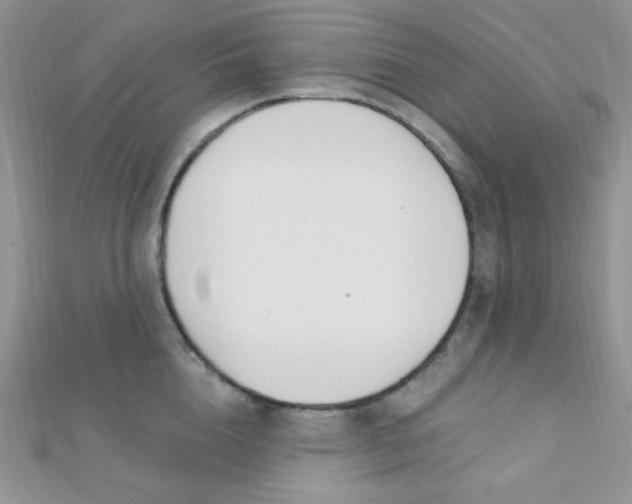 X0000112390856200909032012