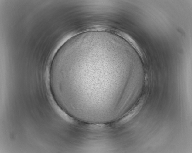 X0000112390859200909032012