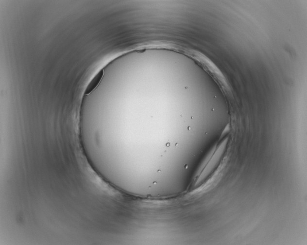 X0000112390860200909032012