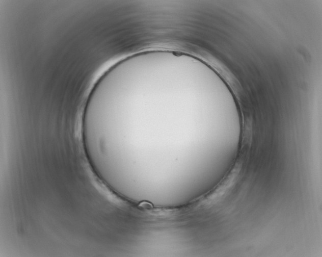 X0000112390862200909032012