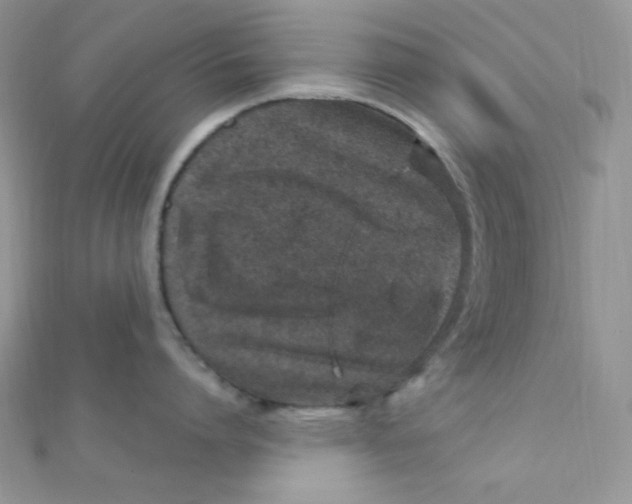 X0000112390864200909032012