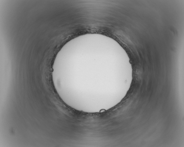 X0000112390865200909032012