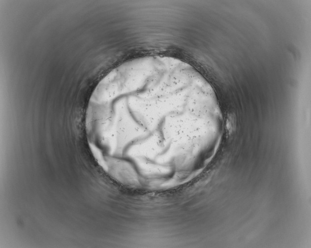 X0000112390867200909032012