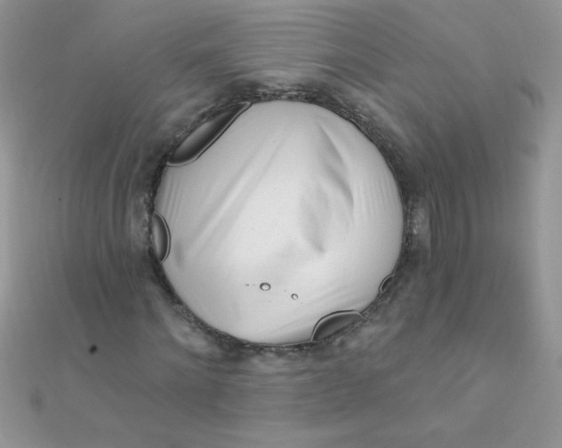 X0000112390868200909032012