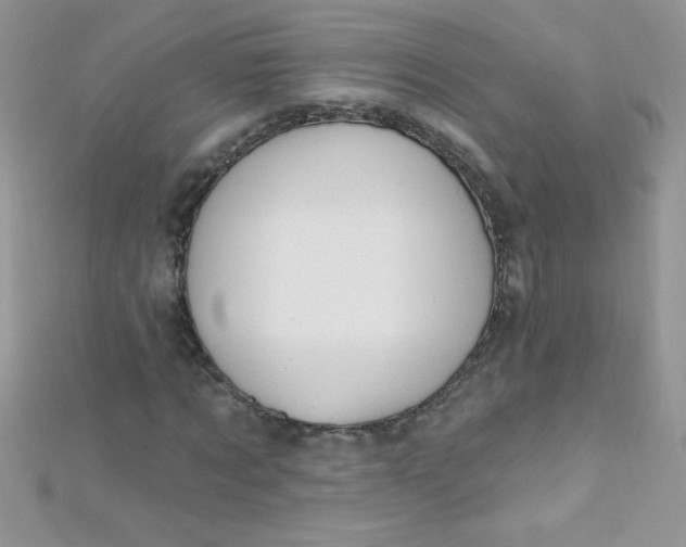 X0000112390869200909032012