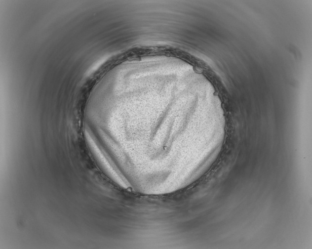 X0000112390871200909032012