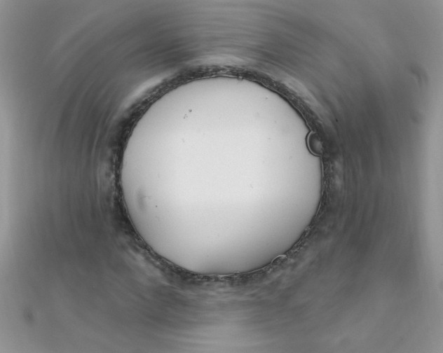 X0000112390872200909032012