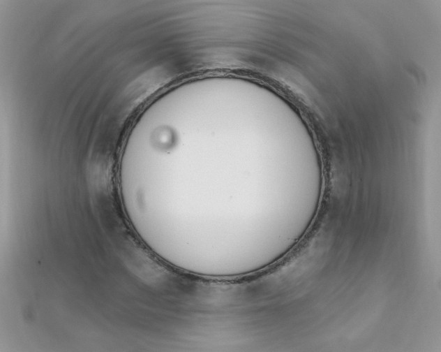 X0000112390873200909032012