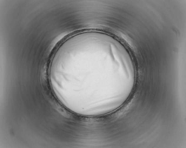 X0000112390875200909032012