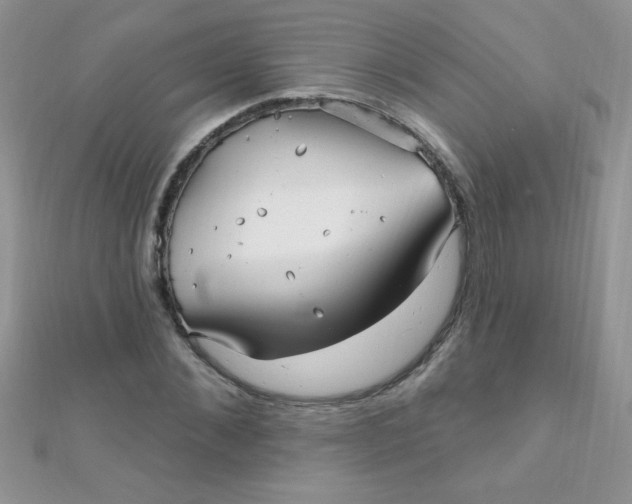 X0000112390876200909032012