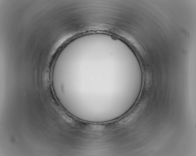 X0000112390878200909032012