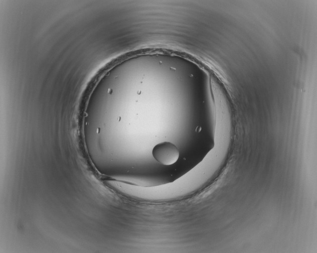 X0000112390880200909032011