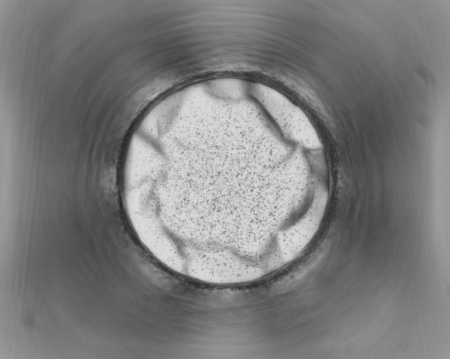 X0000112390881200909032011