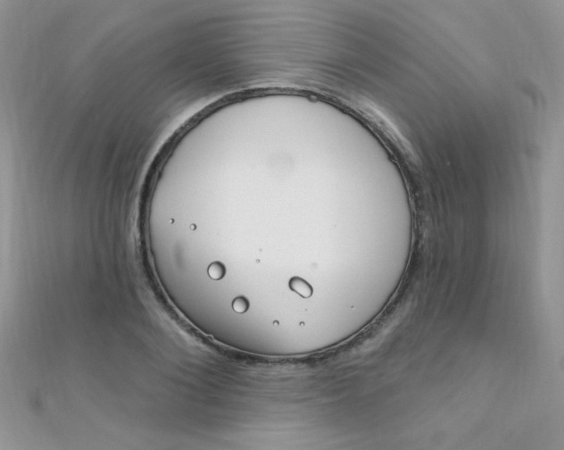 X0000112390884200909032011