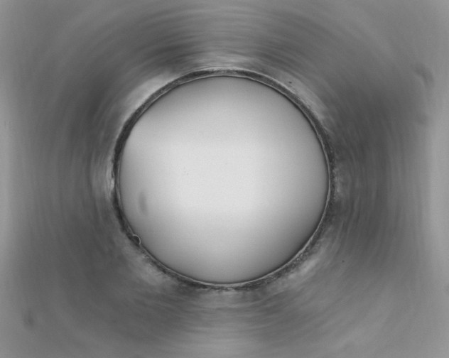 X0000112390885200909032011