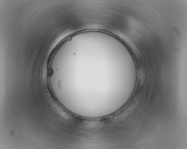 X0000112390886200909032011