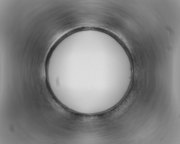 X0000112390887200909032011