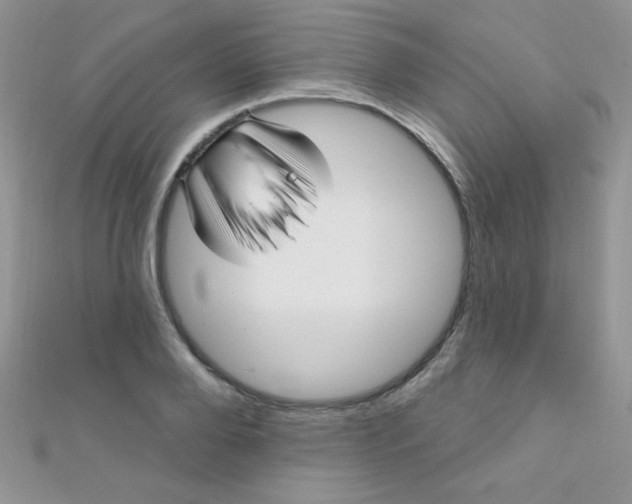 X0000112390888200909032011