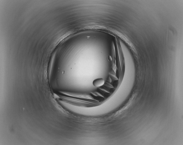 X0000112390889200909032011