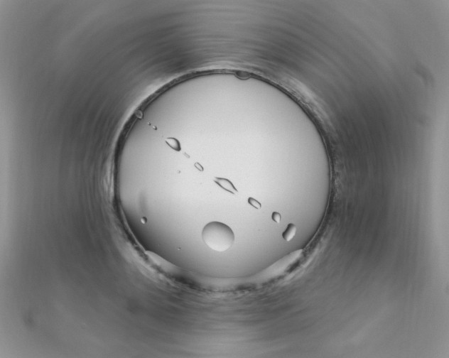 X0000112390892200909032011