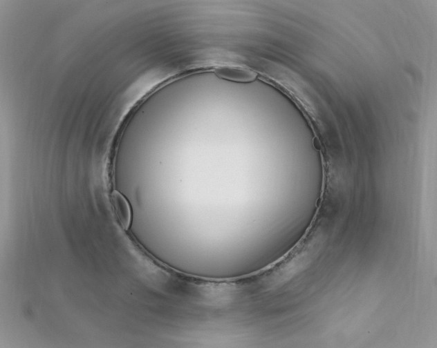 X0000112390893200909032011