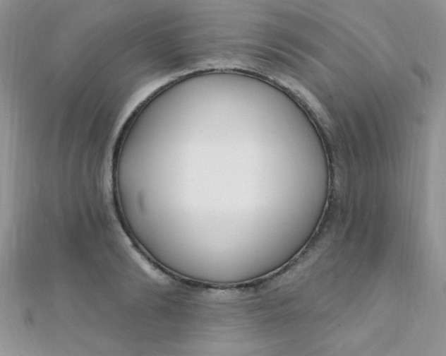 X0000112390894200909032011