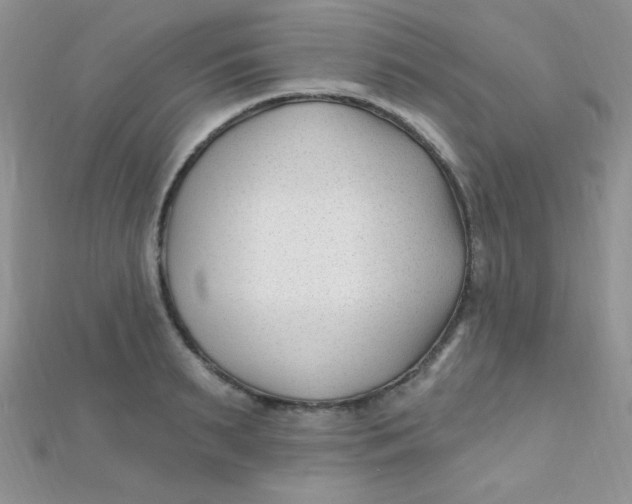 X0000112390895200909032011