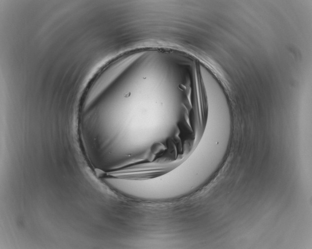 X0000112390896200909032011