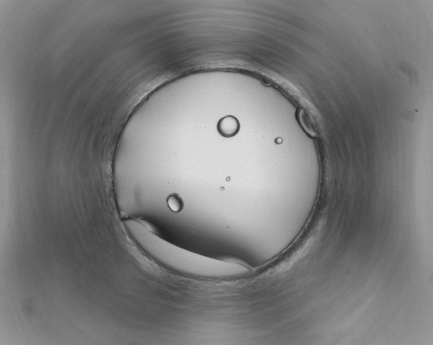 X0000112390897200909032011