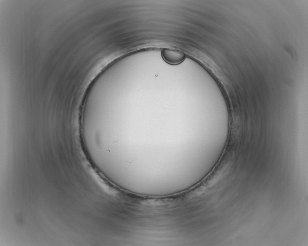 X0000112390898200909032011