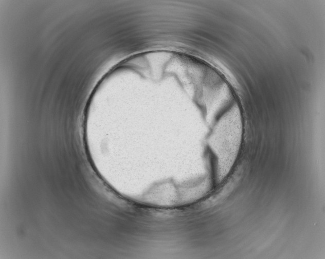 X0000112390899200909032011