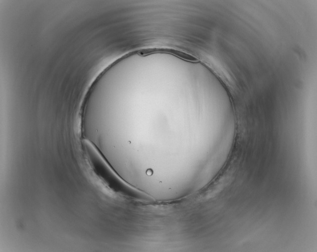 X0000112390900200909032011