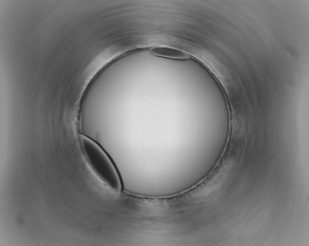 X0000112390901200909032011