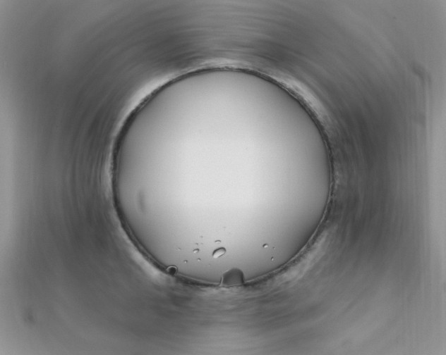 X0000112390902200909032011