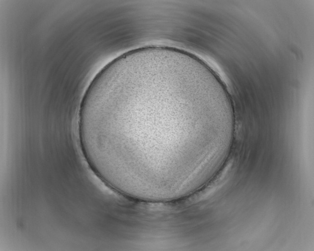 X0000112390903200909032011