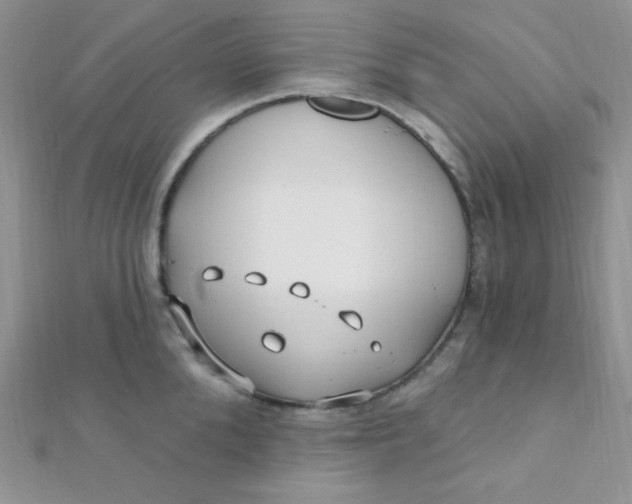 X0000112390904200909032011